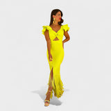 Muirne - Neon Flamenco Dress